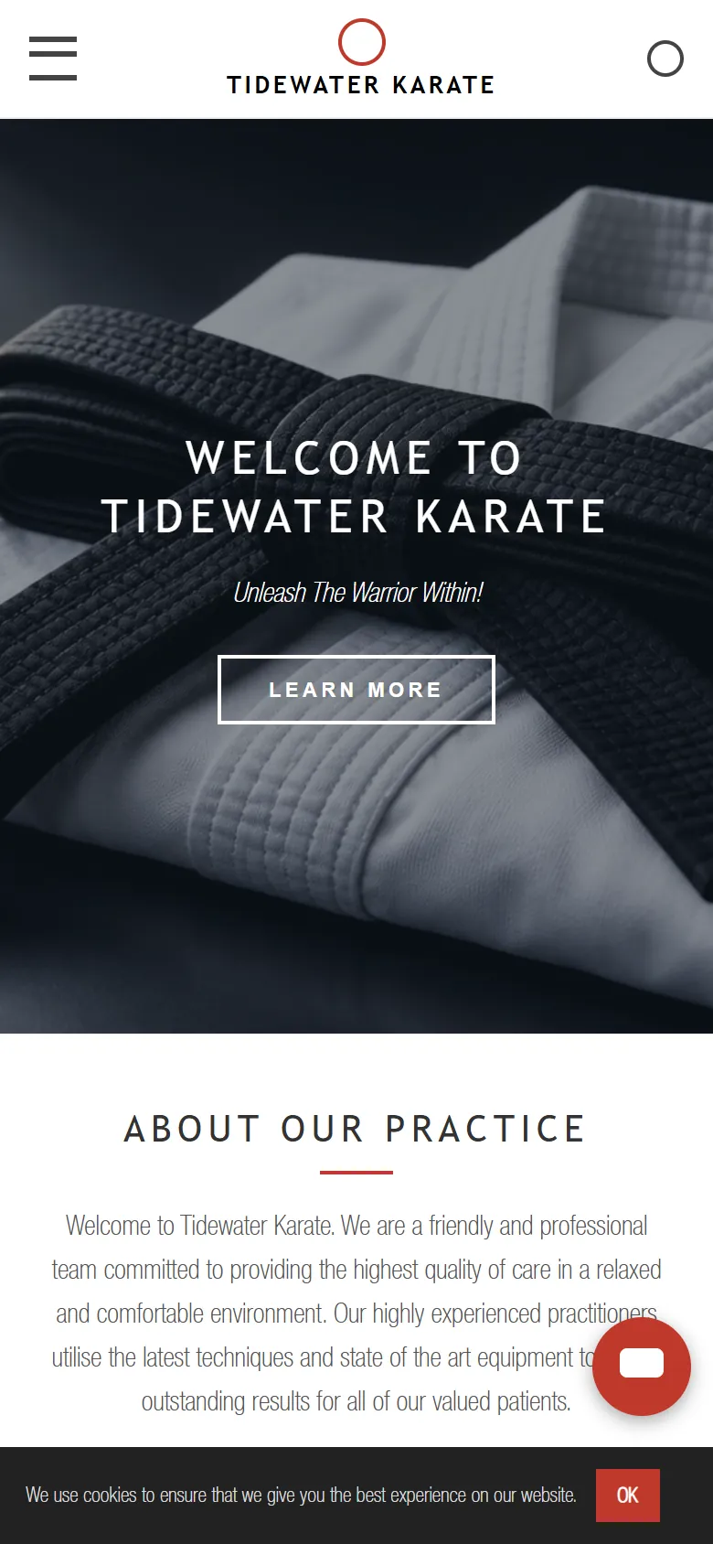 An illustrative old homepage for Tidewater Karate, a fictional martial arts school in Rockingham, before the rebuild