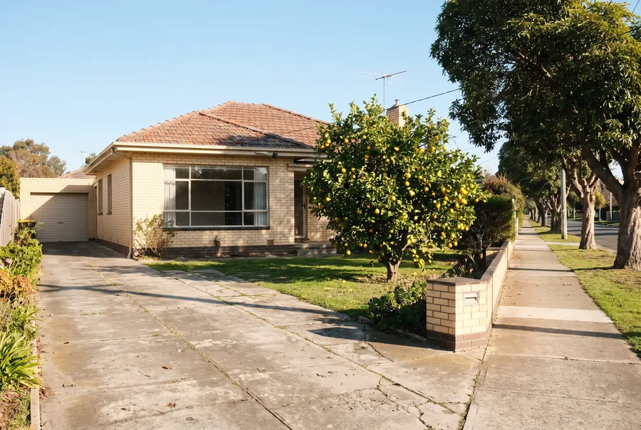 A cream-brick post-war house with a tiled roof, a wide front window and an orange tree heavy with fruit in the front garden.