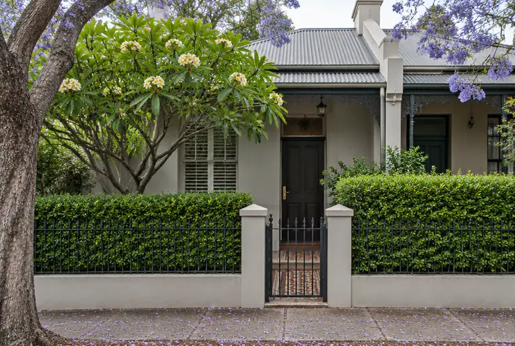 The front of the terrace, screened from the footpath by a hedge