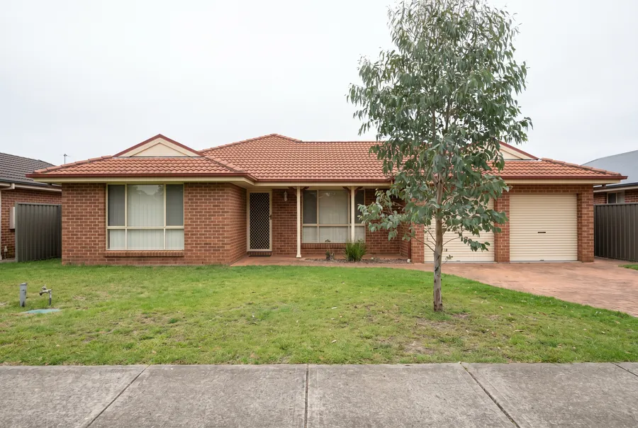 Single-storey brick home with a tiled roof, a double garage and a young gum tree on the front lawn.